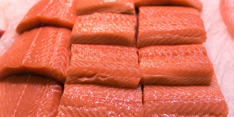 Cresce l'esportazione dell'ittico norvegese