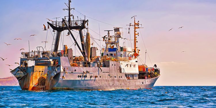 A luglio il report "Stato della pesca e dell'acquacoltura mondiale 2024"