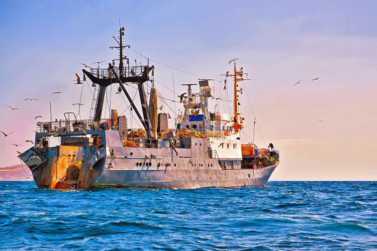 A luglio il report "Stato della pesca e dell'acquacoltura mondiale 2024"