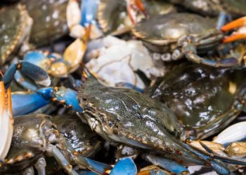 Alleanza Cooperative, accelerare su nomina commissario granchio blu