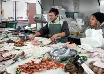 Le richieste della spagnola Fedepesca in vista delle europee