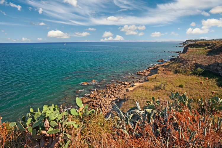 LIFE CALLIOPE: progetto per la tutela degli ecosistemi costieri d’Abruzzo