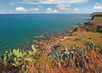 LIFE CALLIOPE: progetto per la tutela degli ecosistemi costieri d’Abruzzo