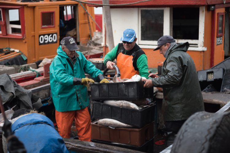 Calo delle prestazioni nelle attività di pesca