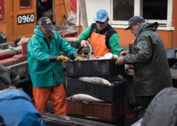 Calo delle prestazioni nelle attività di pesca