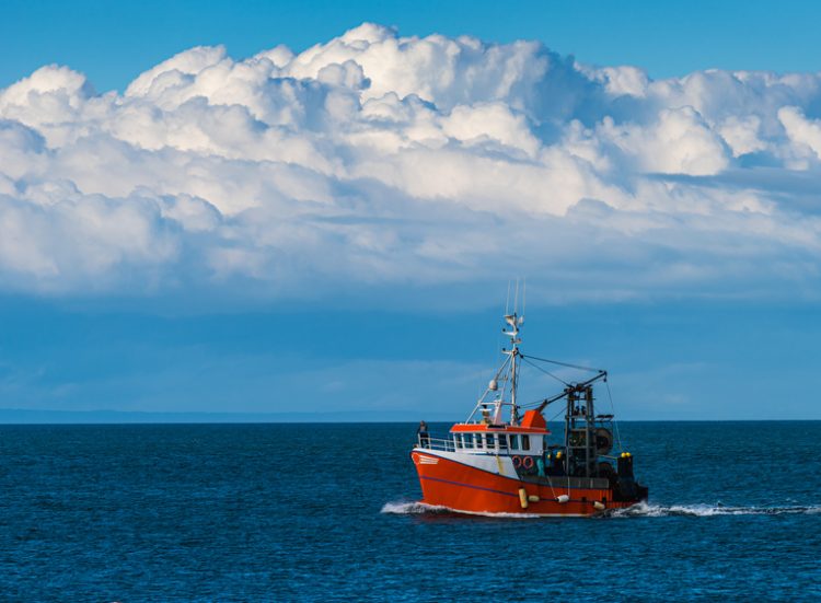 La flotta peschereccia del Regno Unito verso la decarbonizzazione