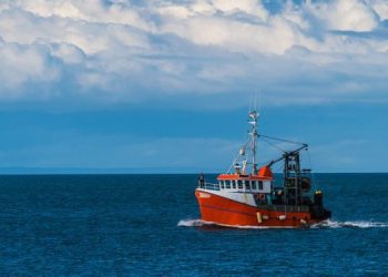 La flotta peschereccia del Regno Unito verso la decarbonizzazione