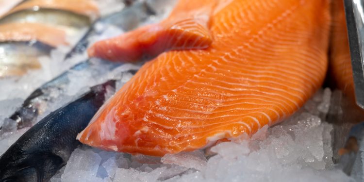 Soluzione SalmoTrace per la tracciabilità del salmone d'allevamento