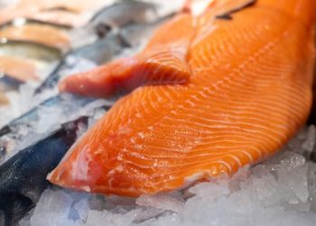 Soluzione SalmoTrace per la tracciabilità del salmone d'allevamento