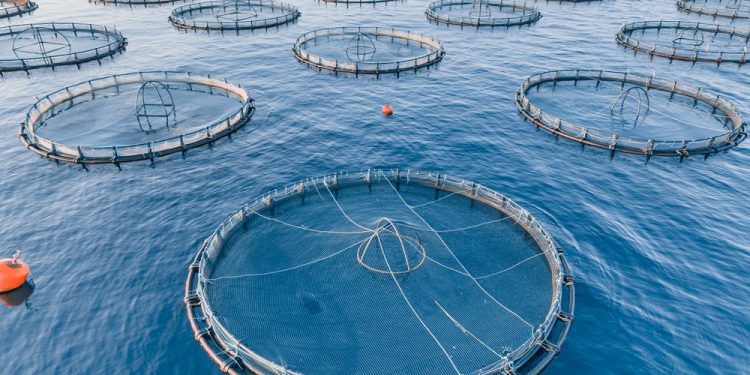 L'acquacoltura e le sfide del cambiamento climatico 