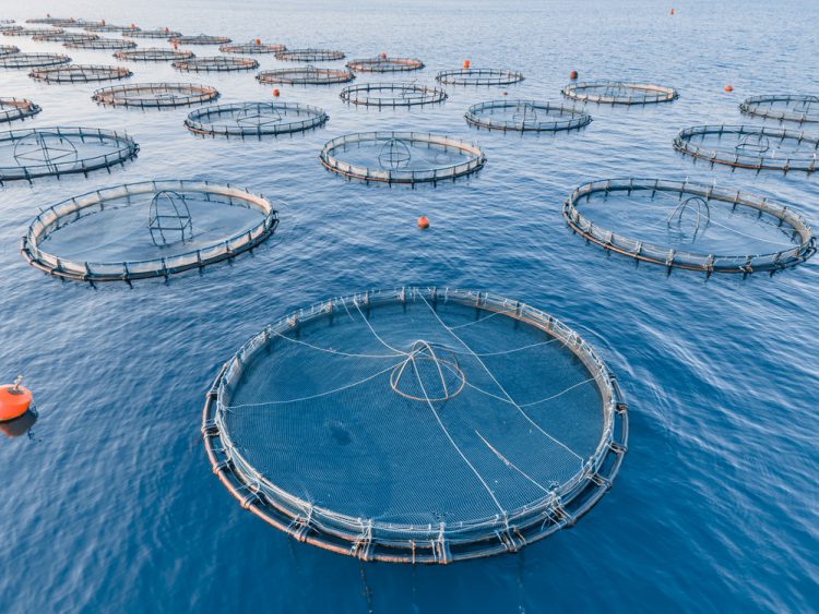 L'acquacoltura e le sfide del cambiamento climatico