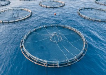 L'acquacoltura e le sfide del cambiamento climatico 