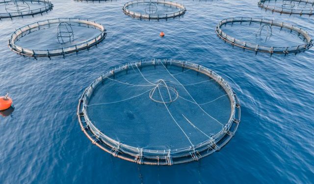 L'acquacoltura e le sfide del cambiamento climatico 