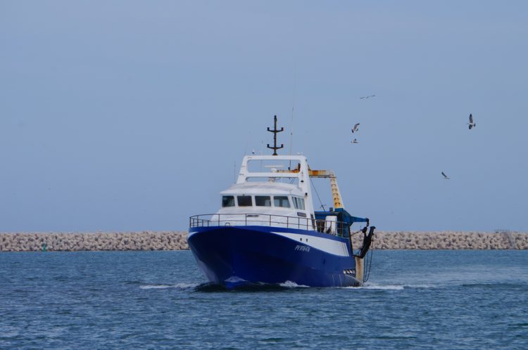 Rinviato il voto su chiusura del 10% delle acque dell'UE alla pesca
