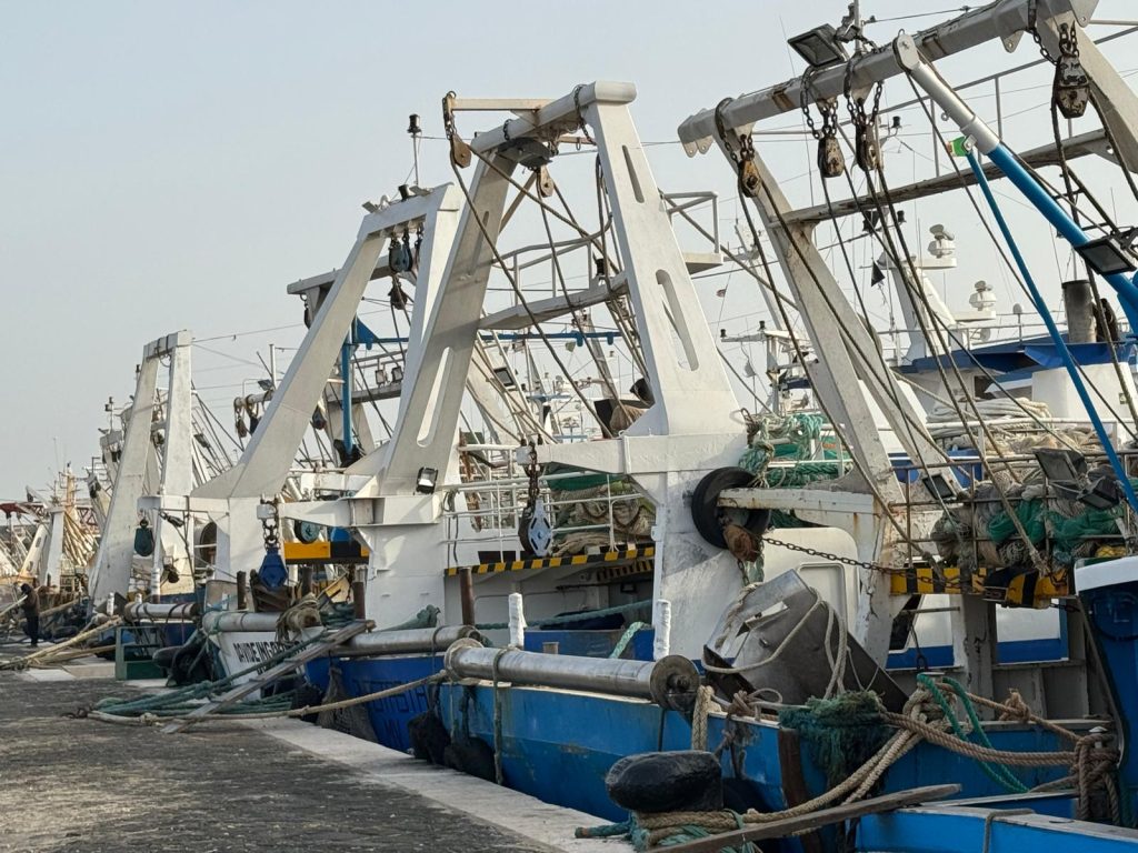 Scognamiglio: riconosciuti dignità e valore pesca professionale