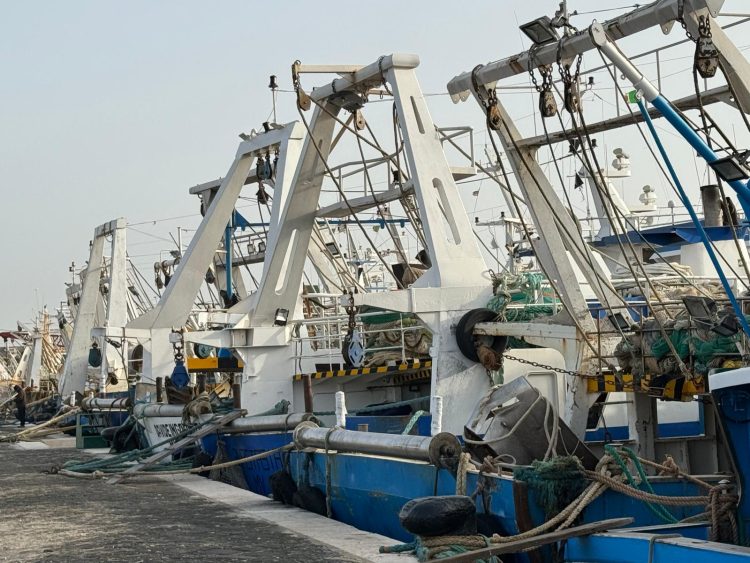 Scognamiglio: riconosciuti dignità e valore pesca professionale
