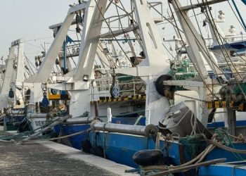 Scognamiglio: riconosciuti dignità e valore pesca professionale
