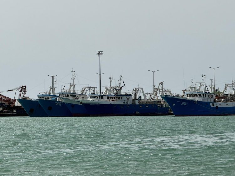Alleanza Pesca, colpo di mano della CE per sottrarre altro mare alla pesca