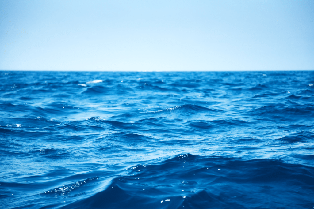 Esito della 43a riunione annuale della NEAFC