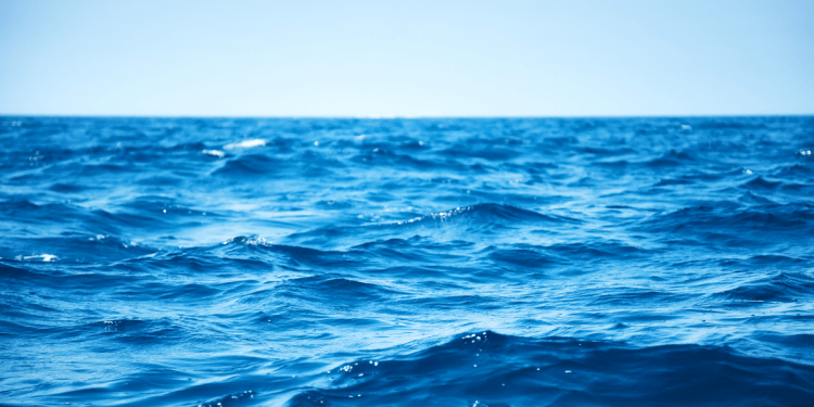 Esito della 43a riunione annuale della NEAFC