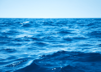 Esito della 43a riunione annuale della NEAFC