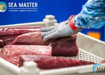 Sea Master: la concreta evoluzione del mercato ittico