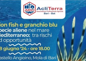 Domani incontro Acli Terra Bari - Bat su pesce leone e granchio blu