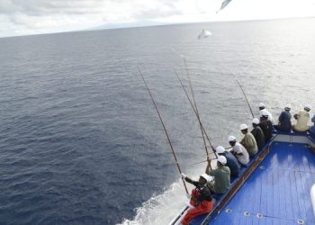 Bolton Food e WWF: 93,7% di tonno responsabile nel 2023