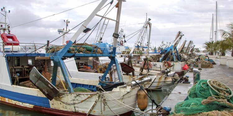 Valutazione della PCP: la Commissione Europea avvia una consultazione