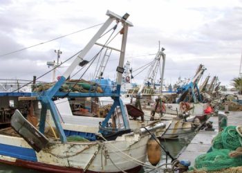 Valutazione della PCP: la Commissione Europea avvia una consultazione