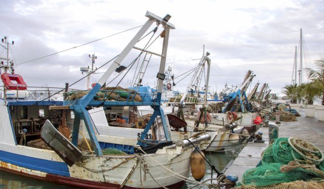 Valutazione della PCP: la Commissione Europea avvia una consultazione