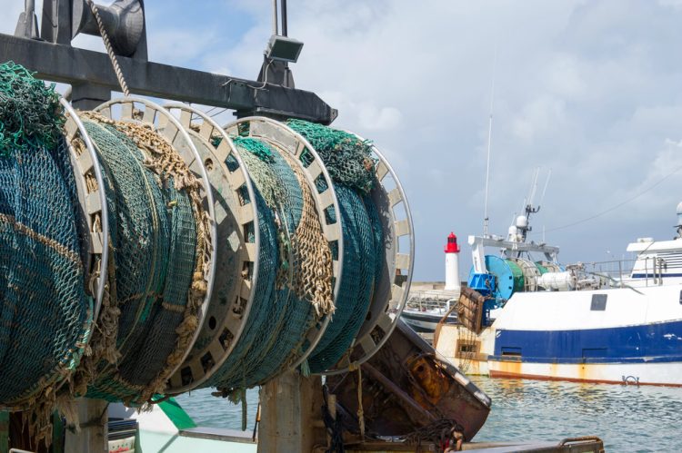 Rafforzare gli sforzi collettivi per debellare la pesca INN