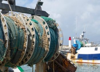 Rafforzare gli sforzi collettivi per debellare la pesca INN