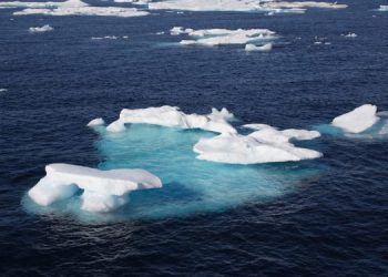 Il riscaldamento degli oceani spinge il salmone rosso nell'Artico canadese