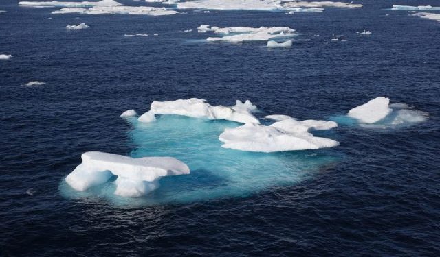 Il riscaldamento degli oceani spinge il salmone rosso nell'Artico canadese