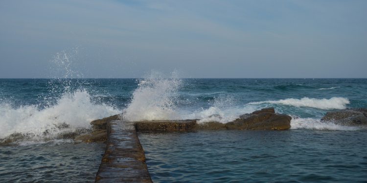 L’UE approva la Legge sul Ripristino della Natura