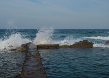 L’UE approva la Legge sul Ripristino della Natura