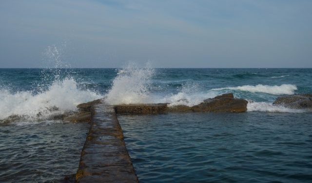 L’UE approva la Legge sul Ripristino della Natura