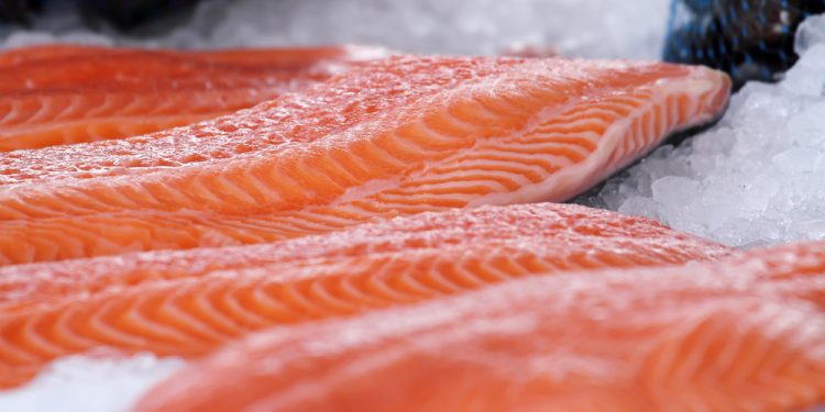 La produzione biologica di salmone atlantico è redditiva e sostenibile
