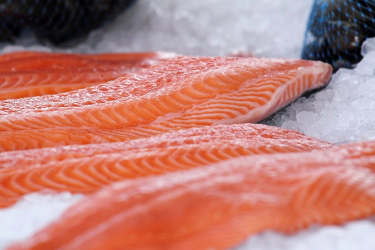 La produzione biologica di salmone atlantico è redditiva e sostenibile