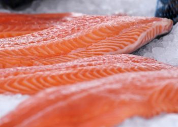 La produzione biologica di salmone atlantico è redditiva e sostenibile