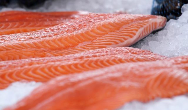 La produzione biologica di salmone atlantico è redditiva e sostenibile