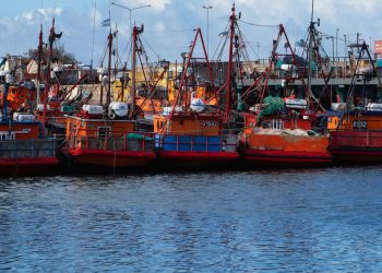 Argentina: crescita record delle esportazioni ittiche