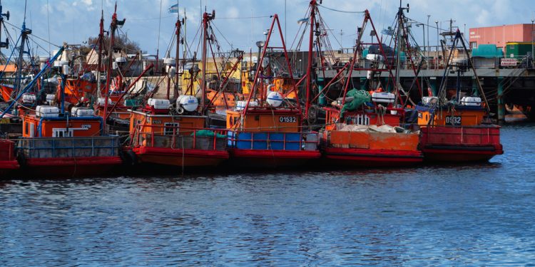 Argentina: crescita record delle esportazioni ittiche