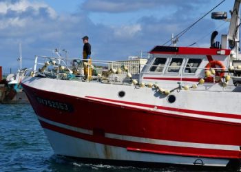 Europêche invita von der Leyen a garantire neutralità politica per non danneggiare il settore pesca