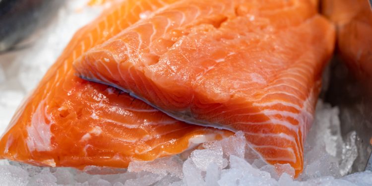 Le esportazioni di salmone scozzese hanno raggiunto il livello più alto degli ultimi cinque anni