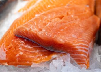 Le esportazioni di salmone scozzese hanno raggiunto il livello più alto degli ultimi cinque anni