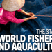 Dalla FAO il report "Lo stato della pesca e dell’acquacoltura nel mondo"