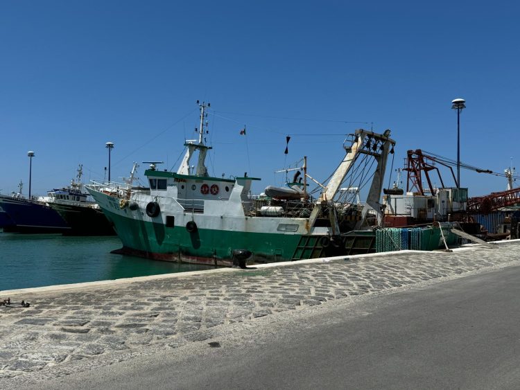 Scognamiglio: "Con le politiche Ue la pesca italiana avrà futuro?"