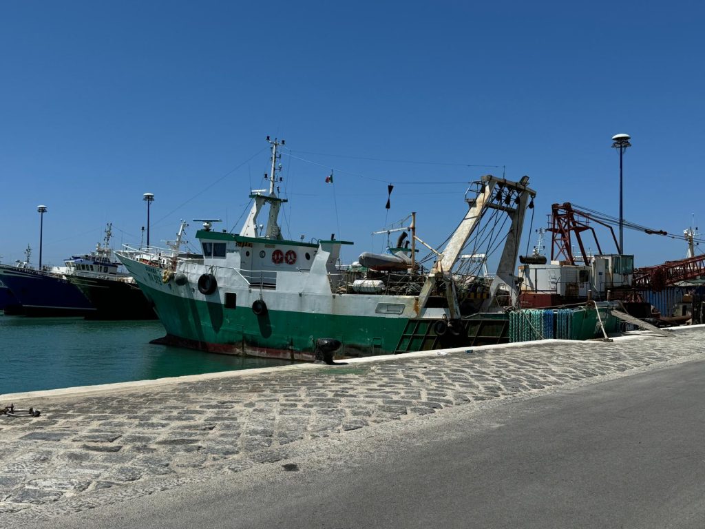 Federpesca: al MASAF per gruppo di lavoro revisione sistema sanzionatorio pesca